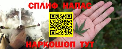 бошки Шебекино